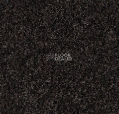 Грязезащитные покрытия Forbo Coral Brush 5715 Charcoal Grey фото 1 | FLOORDEALER